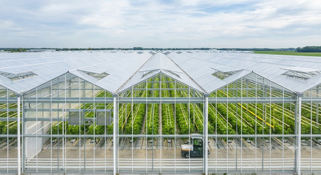 Lonsun Tex Tensile Membrane Structure Solutions